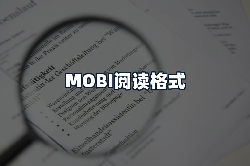 MOBI阅读格式